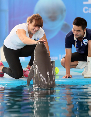 平的对决中 平的对决中