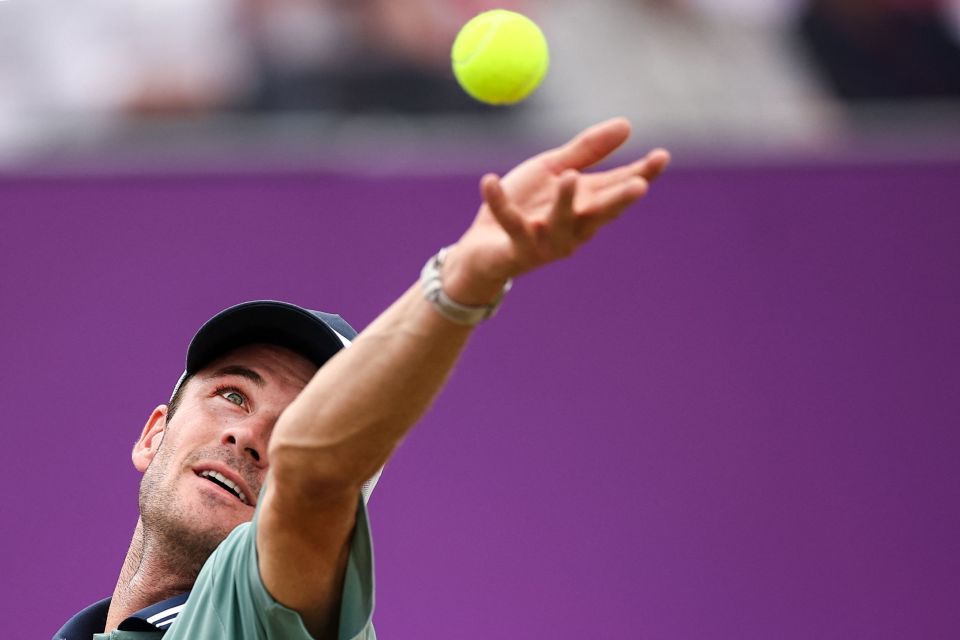 他展现了卓 他展现了卓