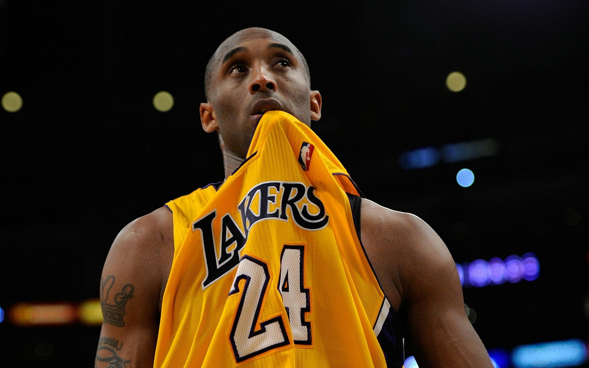 固定一名禁 固定一名禁